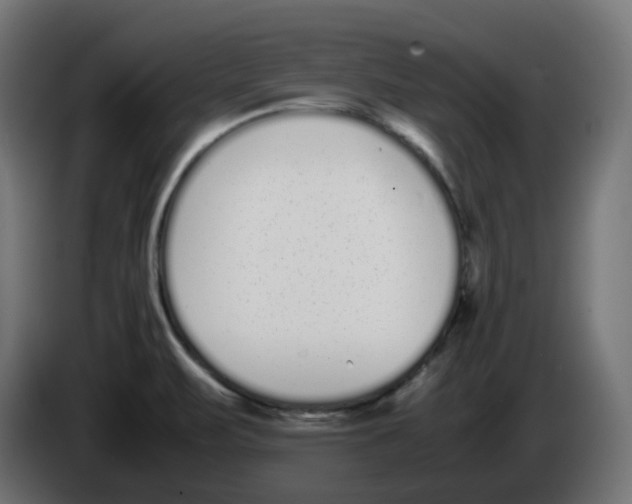 X0000086111471200704132158