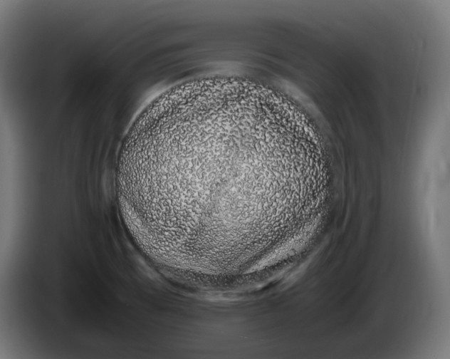 X0000086111473200704132158