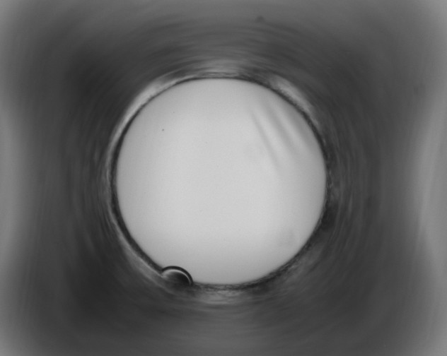 X0000086111475200704132158