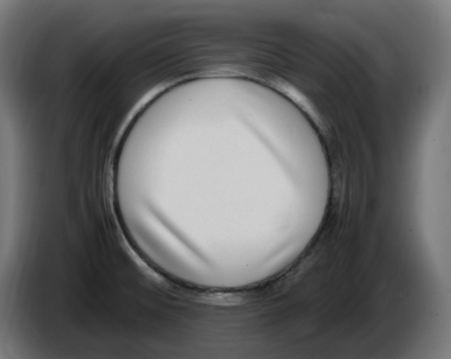 X0000086111476200704132158