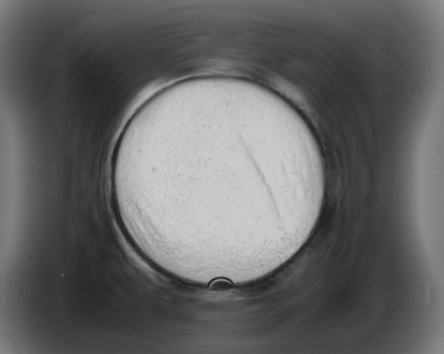 X0000086111479200704132158