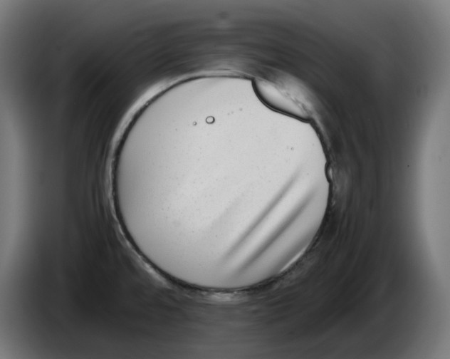 X0000086111480200704132158