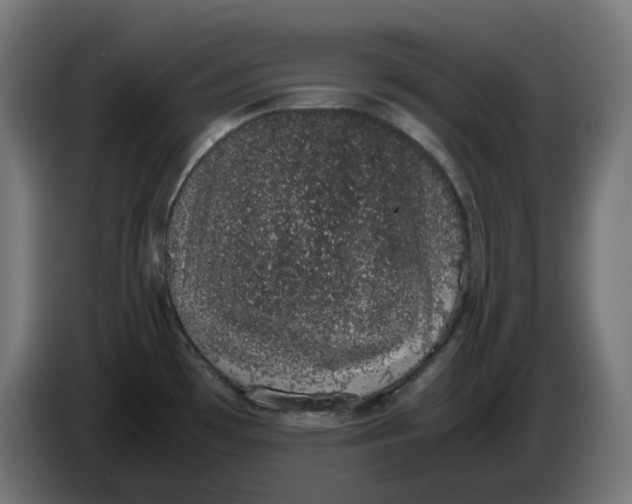 X0000086111481200704132158