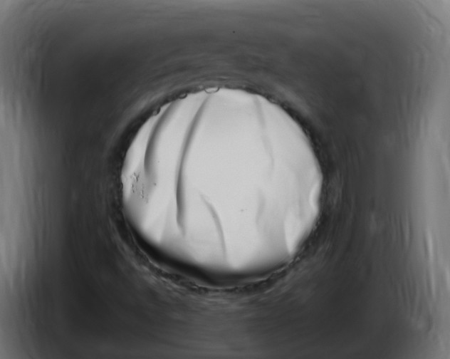 X0000086111496200704132157