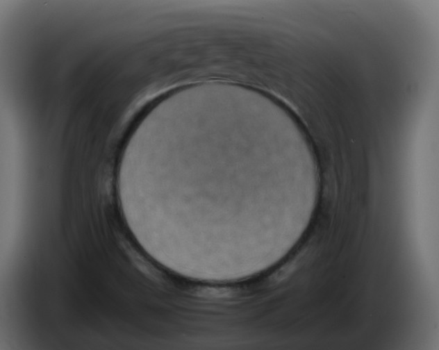 X0000086111499200704132158