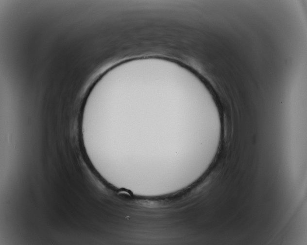 X0000086111500200704132158