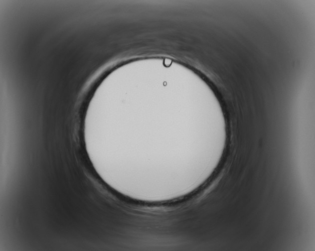 X0000086111502200704132158