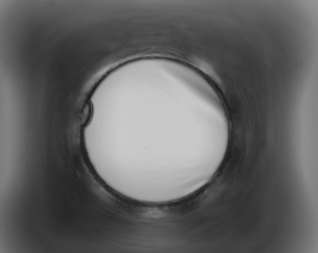 X0000086111504200704132158