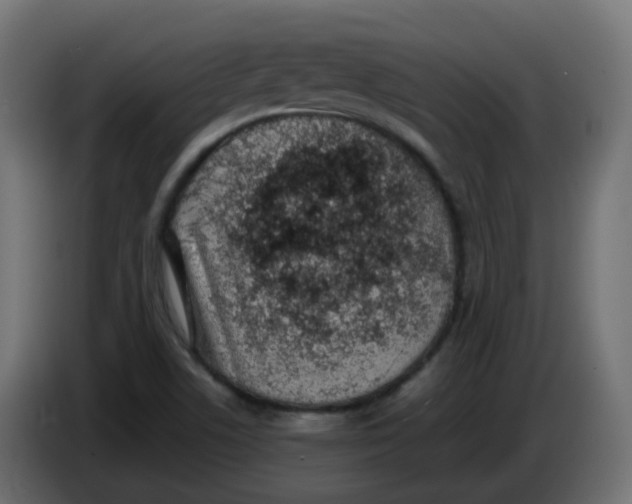 X0000086111506200704132158