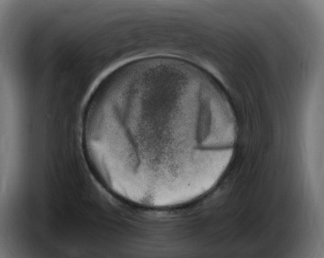 X0000086111508200704132158