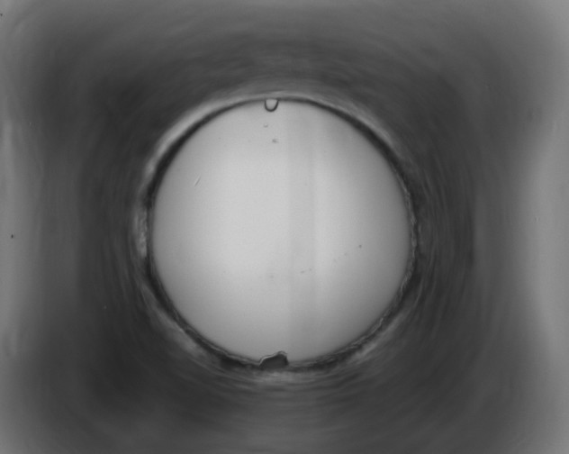 X0000086111510200704132158