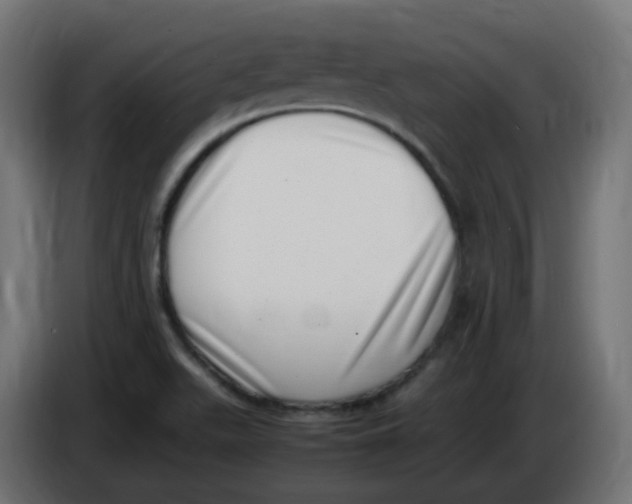 X0000086111511200704132158