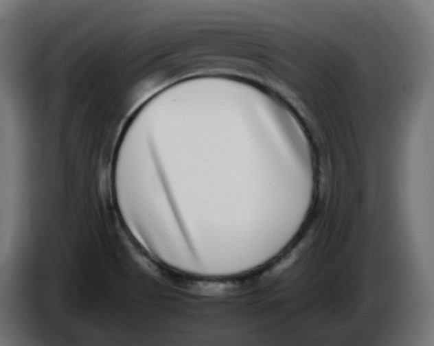 X0000086111513200704132158