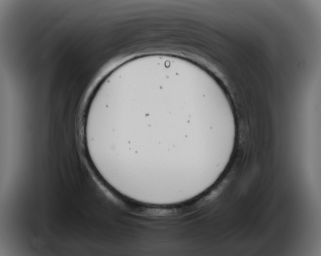 X0000086111517200704132158