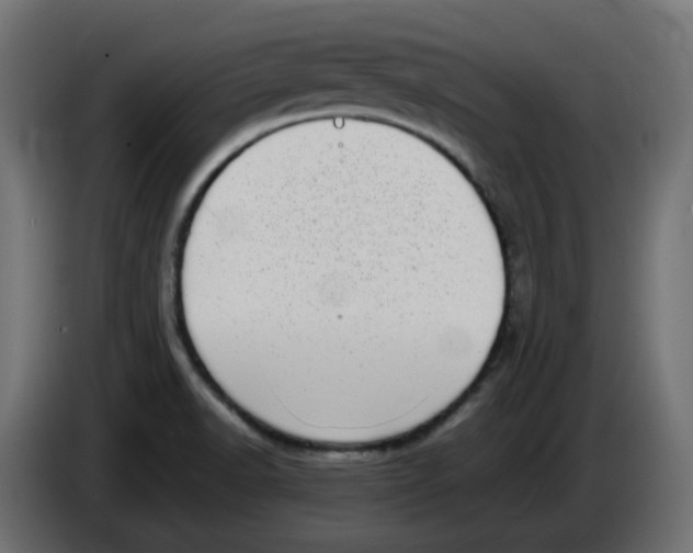 X0000086111518200704132158