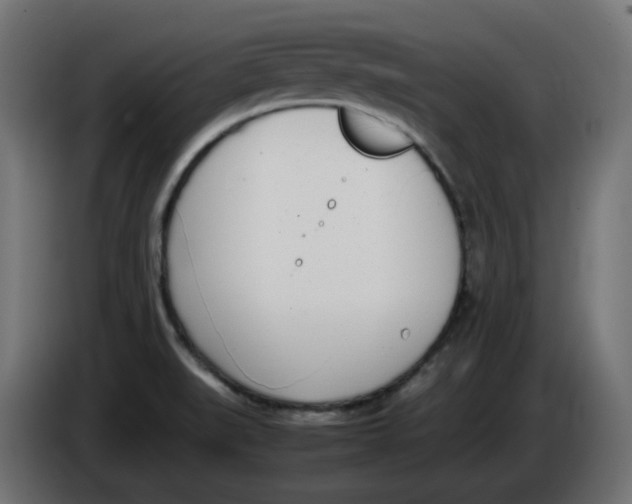 X0000086111519200704132158