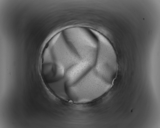 X0000086111520200704132158