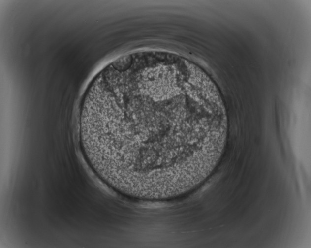 X0000086111522200704132158