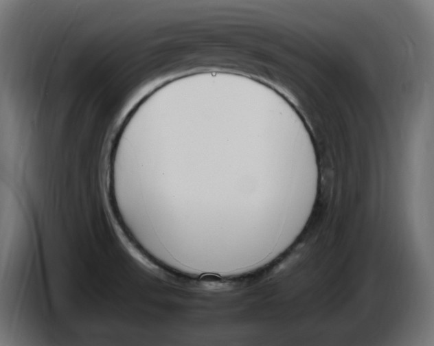 X0000086111523200704132158