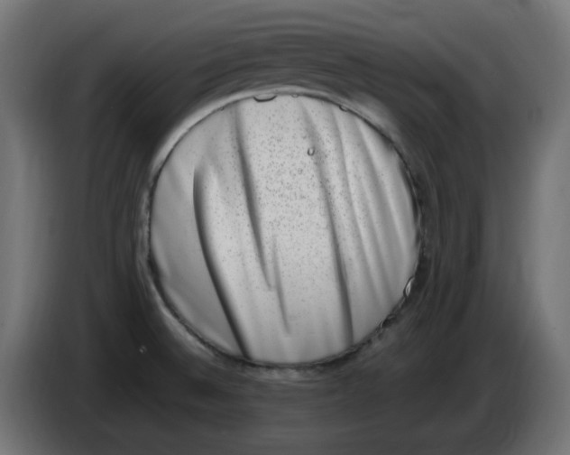 X0000086111524200704132158