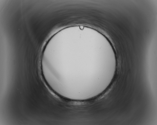 X0000086111525200704132158