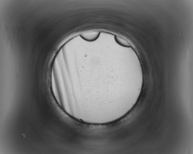 X0000086111526200704132158