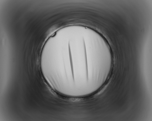 X0000086111529200704132158