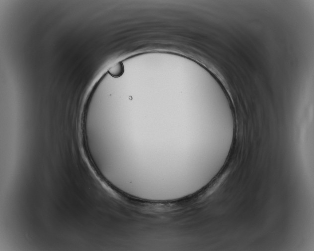 X0000086111533200704132158