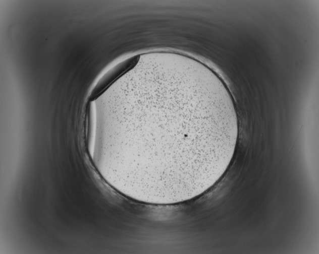 X0000086111534200704132158