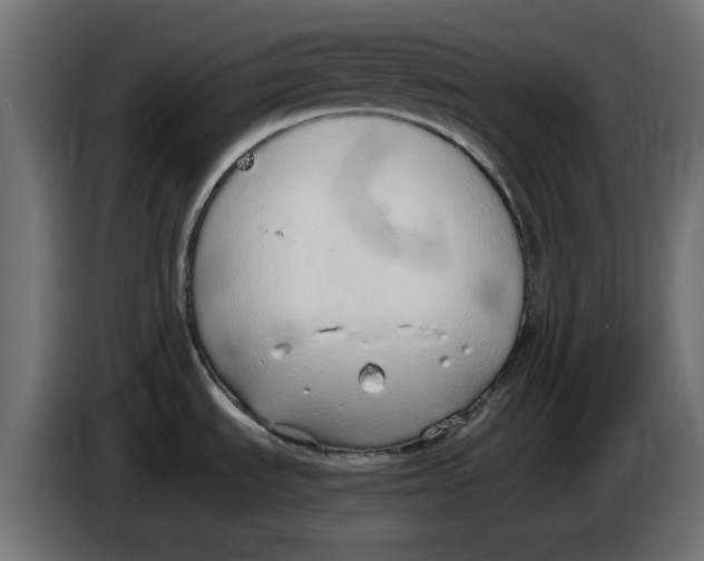 X0000086111535200704132158