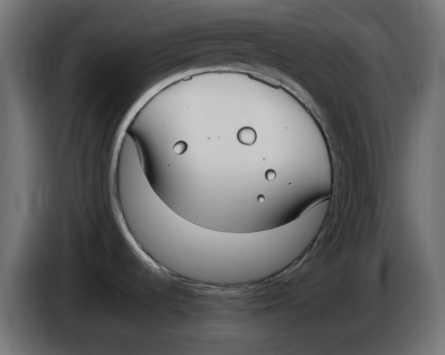 X0000086111536200704132158