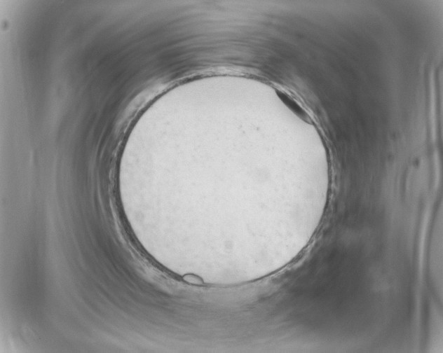 X0000086110001200704202317