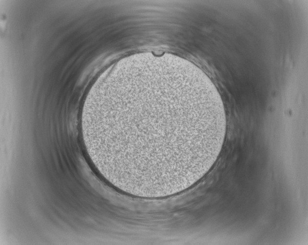 X0000086110002200704202317