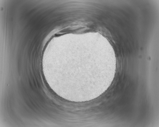 X0000086110003200704202317