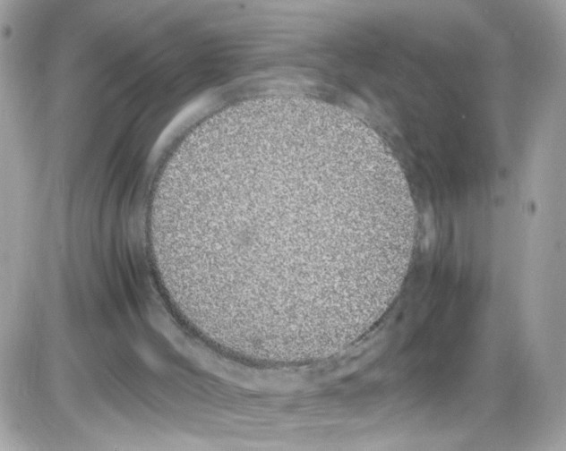 X0000086110004200704202317