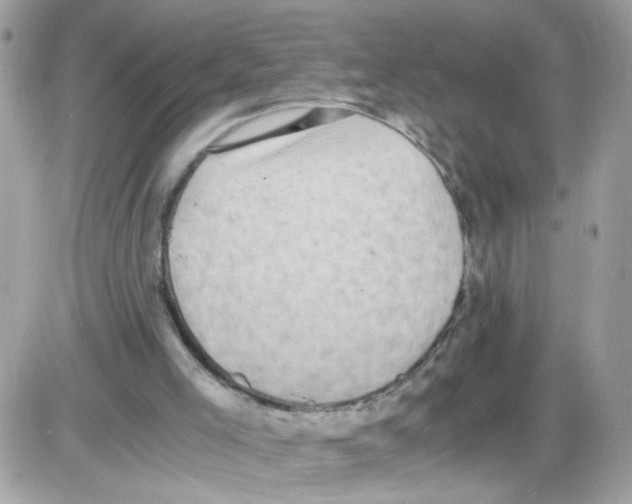 X0000086110005200704202317