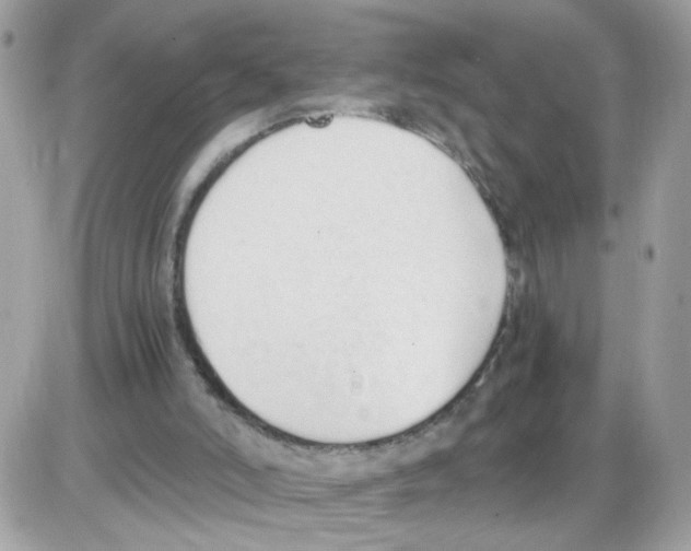 X0000086110006200704202317