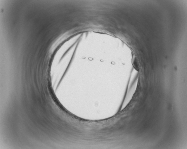 X0000086110007200704202317