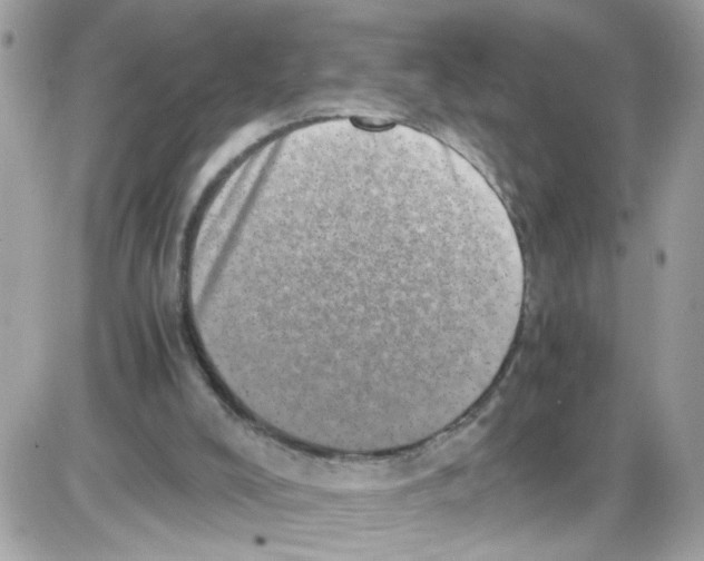 X0000086110008200704202317