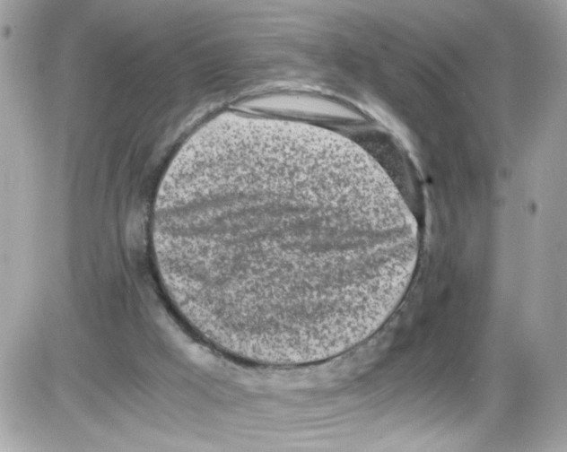 X0000086110009200704202317