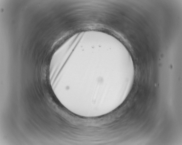 X0000086110010200704202317