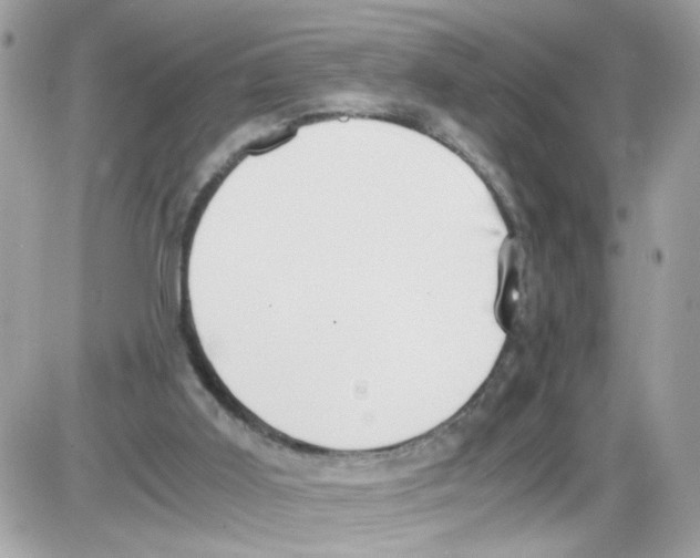 X0000086110011200704202317