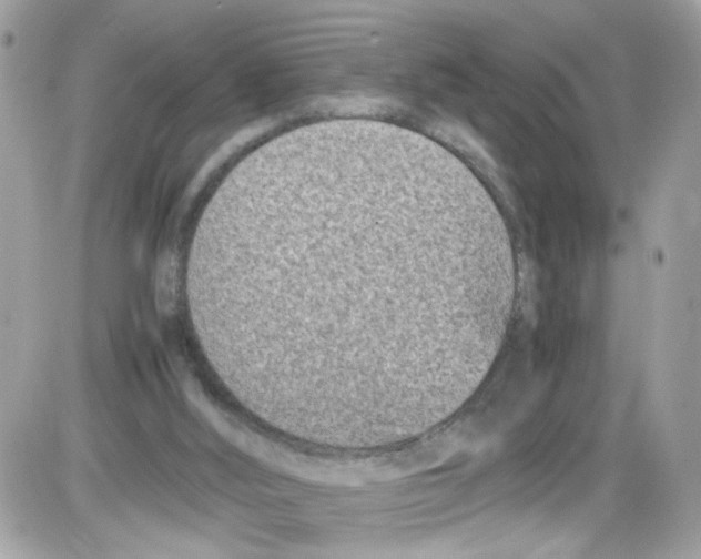 X0000086110012200704202317