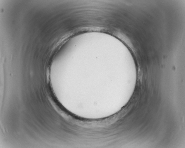 X0000086110013200704202317