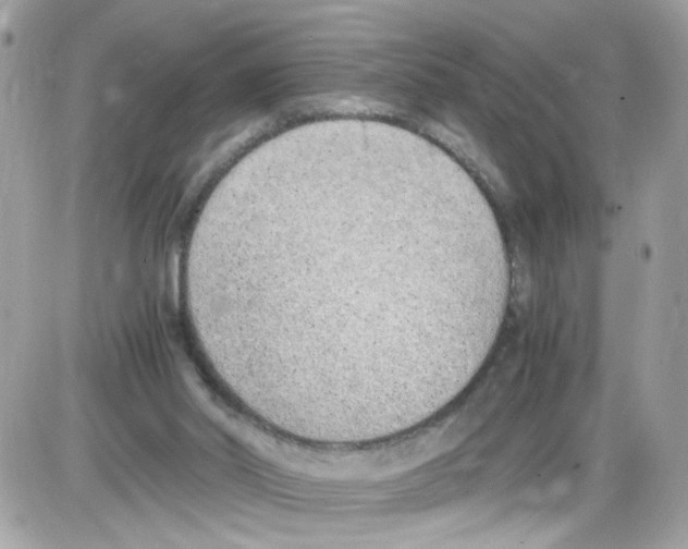 X0000086110014200704202317