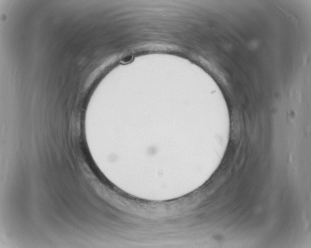 X0000086110015200704202317