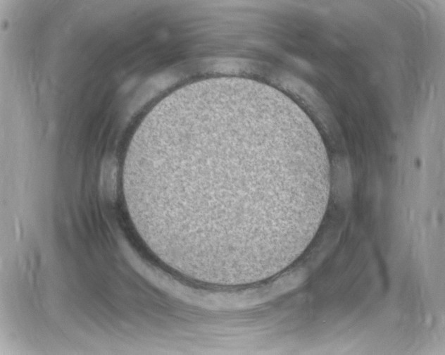 X0000086110016200704202317