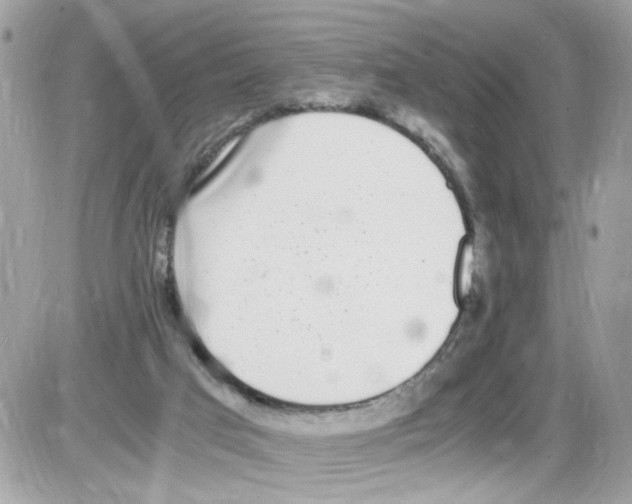 X0000086110017200704202317