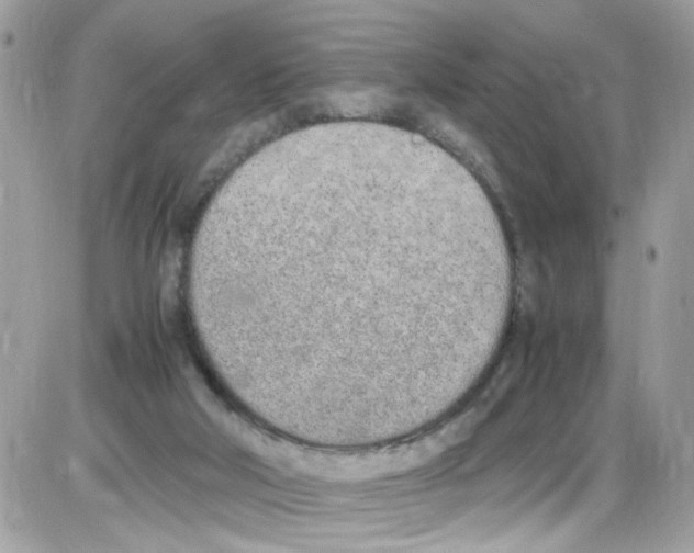 X0000086110018200704202317