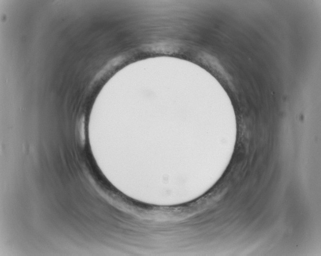 X0000086110020200704202317